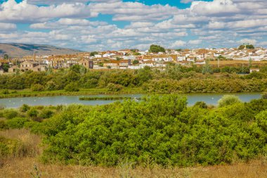 Panorama. Fuente De Piedra gölünün panoramik manzarası. Fotoğraf 7 Haziran 2020.