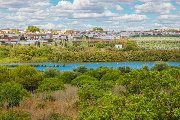 Panoramę Panoramiczny Widok Lagunę Fuente Piedra Zdjęcie Zrobione Czerwca 2020 — Zdjęcie stockowe