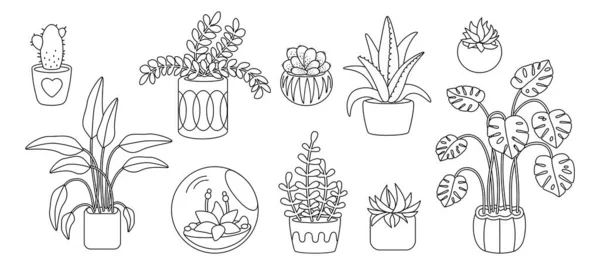 Växtsuckulent krukväxter tecknad klotter linje set — Stock vektor