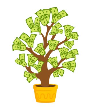 Banknotları düz saksı ev bitkisi olan para ağacı.