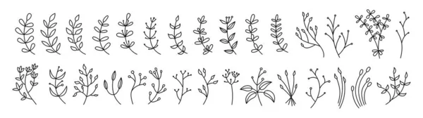 Linea botanica a foglie ramificate profilo piatto set nero — Vettoriale Stock