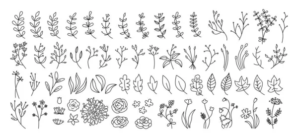 Květina, větev a list nastavit botanickou černou čáru — Stockový vektor