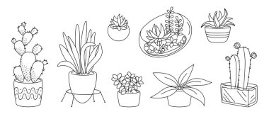 Bitki sulu seramik düz siyah çizgi seti