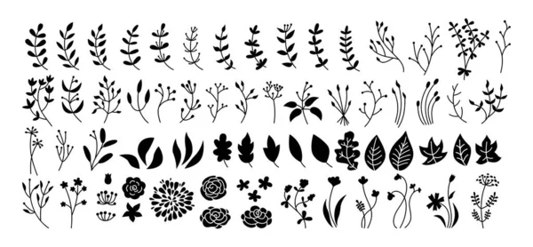 Květinová větev a list set botanický černý glyf — Stockový vektor