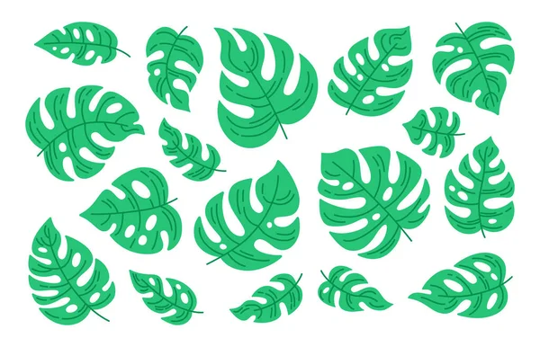 Conjunto de dibujos animados hoja Monstera planta verde tropical — Vector de stock