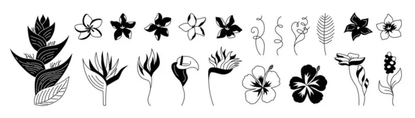 Εξωτικά λουλούδια glyph σύνολο τροπικό βοτανικό λουλούδι — Διανυσματικό Αρχείο