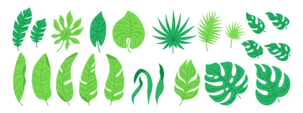 Tropische Blätter Cartoon Set exotischen Dschungel Vektor — Stockvektor