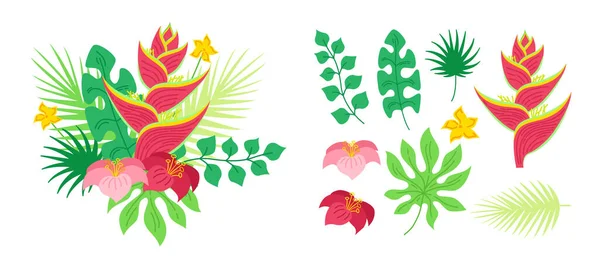 Flores de buquê tropicais heliconia card vector — Vetor de Stock