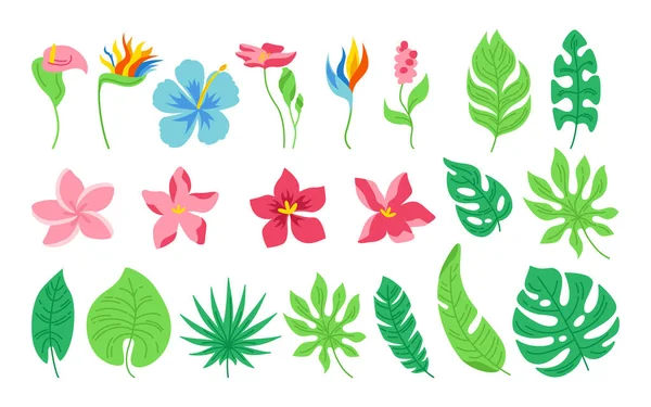 Exotische Blätter Blumen Cartoon Set flachen Vektor — Stockvektor