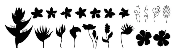 Conjunto de silhuetas de flores exóticas vector strelitzia —  Vetores de Stock