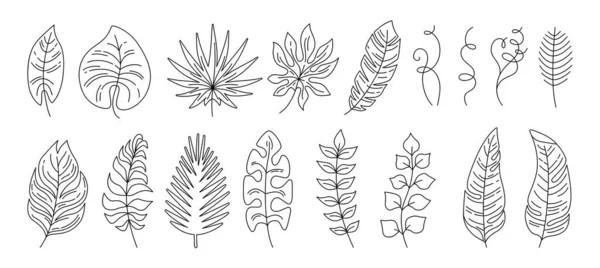 열 대 잎 만화 세트 이국적 인 벡터 — 스톡 벡터