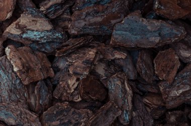 Bahçe veya doğal temalar için çam kabuğundan ahşap yongaları kırmızı ve kahverengi parçalarıdoğal arka plan. Bitkiler ve çiçekler ve bahçe dekorasyonu için malç. Kopyalama alanı ile üstte görünüm.