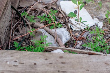 Ormanda plastik bardak ve çöp. Çevre kirliliği. Çevre sorunu ve felaket. Yeşil Git, Sıfır Atık, Planet Kaydet, Dünya Günü, Hayır Plastik, Geri Dönüşüm Kavramı