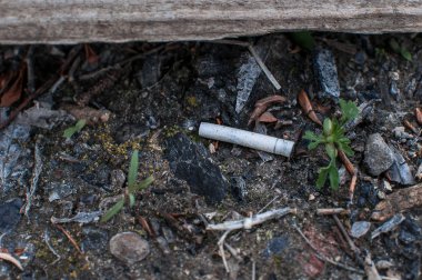 ormanda sigara izmariti ve çöp. Çevre kirliliği. Çevre sorunu ve felaket. Yeşil Git, Sıfır Atık, Planet Kaydet, Dünya Günü, Hayır Plastik, Geri Dönüşüm Kavramı