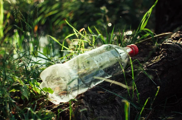 gölet yakınındaki ormanda plastik şişe. Çevre kirliliği. Çevre sorunu ve felaket. Yeşil Git, Sıfır Atık, Planet Kaydet, Dünya Günü, Hayır Plastik, Geri Dönüşüm Kavramı