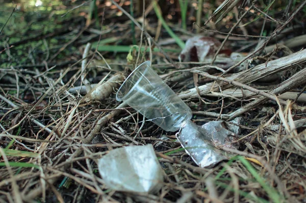 Resíduos de plástico, vidro, cerâmica e lixo na floresta. Poluição ambiental. Questão ambiental e desastre. Ir Verde, Desperdício Zero, Salvar o Planeta, Dia da Terra, Sem Plástico, Conceito de Reciclagem — Fotografia de Stock