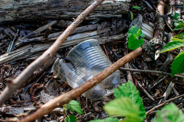 Copo de plástico e lixo na floresta. Poluição ambiental. Questão ambiental e desastre. Ir Verde, Desperdício Zero, Salvar o Planeta, Dia da Terra, Sem Plástico, Conceito de Reciclagem — Fotografia de Stock