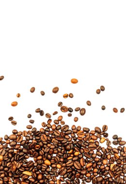 Beyaz arka plana dağılmış kahve çekirdekleri. Kopya alanı olan bir aromatik arabika. maketleme