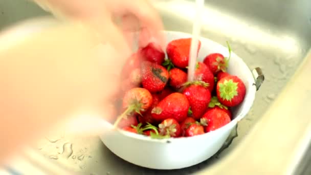 Girl washes mud-stained strawberries. The concept of nature, ecology and products grown without GMOs — Stock Video