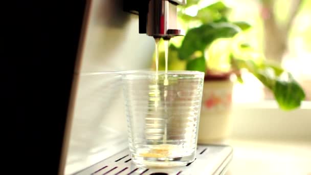 Kahve makinesinden sıcak su akar, bir bardak iskele filtresi. Otomatik bir kahve makinesi filtreyi buhar ve kaynar suyla temizler. Hortumlardan su damlacıkları çıkıyor. — Stok video