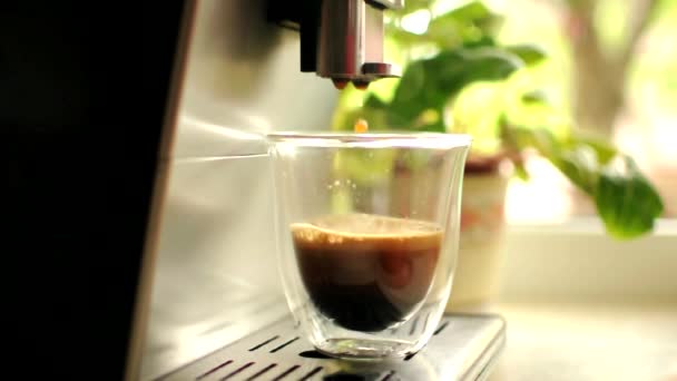 Bilder av att hälla kaffe från maskinen i ett genomskinligt glas. Hemgjord het Americano. Omvänd video. Färskmalet kaffe flödar. Morgonkaffekoncept från nymalda rostade bönor. — Stockvideo
