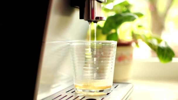 Warm water stroomt uit het koffiezetapparaat, een kopje portafilter. Een automatische koffiemachine reinigt het filter met stoom en kokend water. Kaders van waterdruppels die uit de sproeiers komen — Stockvideo