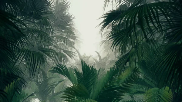 Illustration Hintergrund Für Werbung Und Tapete Dschungel Szene Rendering Dekorativen — Stockfoto