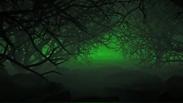 Halloween Night Forests Filmato Film Horror Cinematografici Scena Spaventosa Buon — Video Stock