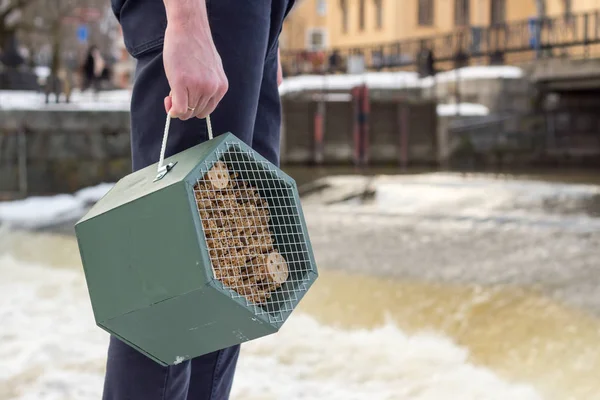 Man holding insect hotel in hand