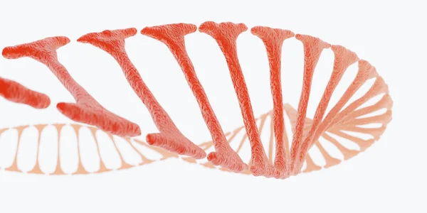 Концепция крупного плана ДНК перед технологией биологии белого фона 3D рендеринг иллюстрации — стоковое фото