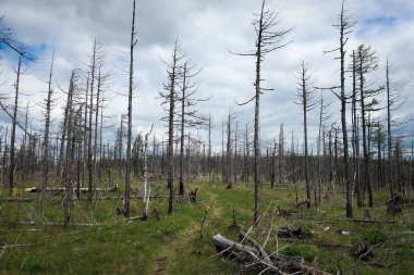 Kraka dağın doğal görünümü, Güney Ural, Rusya