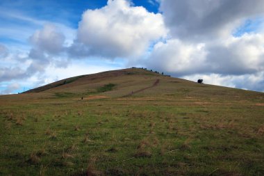Doğal alan ve Ural Güney, Başqırdıstan, Uraltau aralığı, Rusya'nın tepeleri