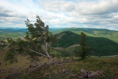 Doğal peyzaj taşları ve çam ormanı Güney Ural Dağları'nın, Başqırdıstan, Rusya Federasyonu