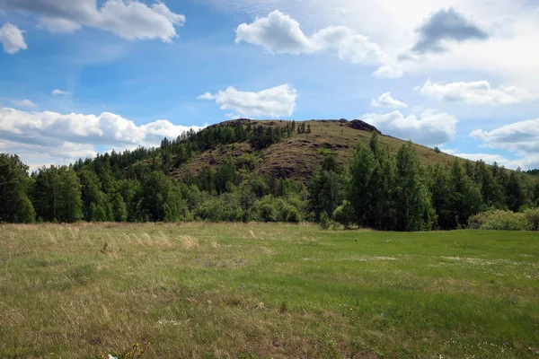 Doğal peyzaj taşları ve çam ormanı Güney Ural Dağları'nın, Başqırdıstan, Rusya Federasyonu