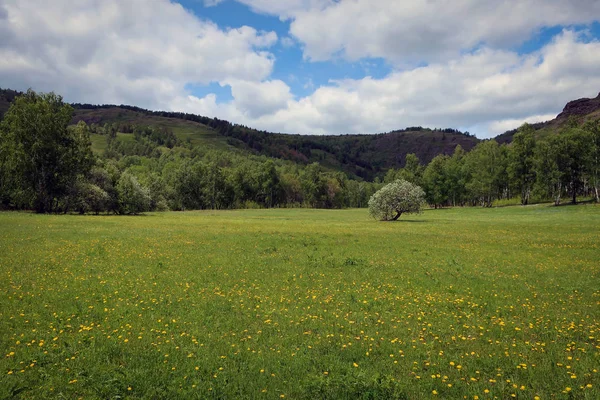 Doğal Alan Ural Güney Başqırdıstan Uraltau Aralığı Rusya Nın Tepeleri — Stok fotoğraf