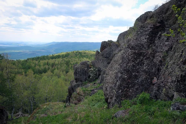 Doğal peyzaj taşları ve çam ormanı Güney Ural Dağları'nın, Başqırdıstan, Rusya Federasyonu