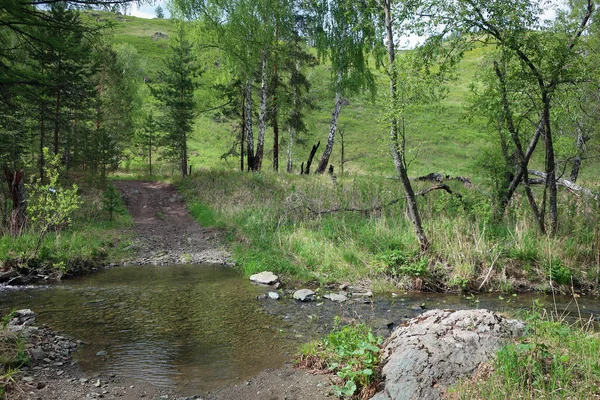 Beekje Bossen Van Zuid Oeral Bashkiria Rusland — Stockfoto