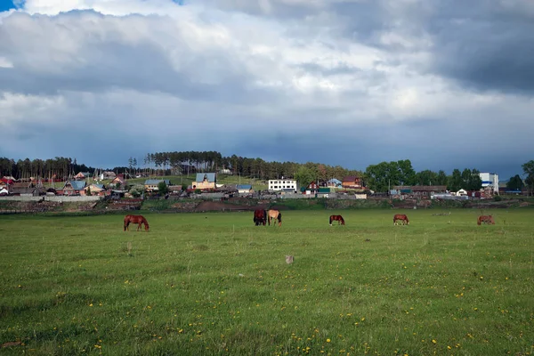 Tipik Rus köy yatay, at yakınındaki Arskiy taş, Başqırdıstan, Rusya Federasyonu