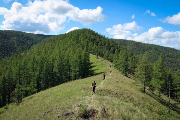 Kraka Montanha Vista Panorâmica Ural Sul Rússia Imagens De Bancos De Imagens Sem Royalties