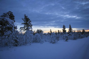 Kuzey Finlandiya 'da kış günbatımı manzarası
