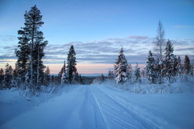 Kuzey Finlandiya 'da kış günbatımı manzarası