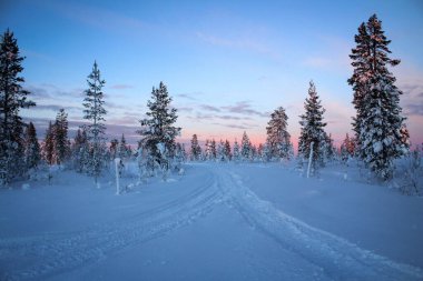 Kuzey Finlandiya 'da kış günbatımı manzarası