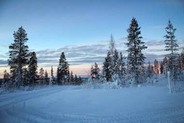 Kuzey Finlandiya 'da kış günbatımı manzarası