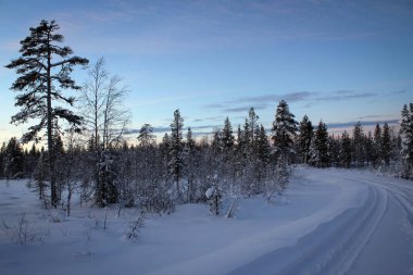 Kuzey Finlandiya 'da kış günbatımı manzarası
