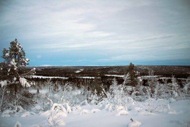 Pallas-Yllastunturin doğa parkı kış manzarası, Finlandiya