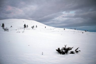 Pallas Yullastunturi park manzarası gün batımına kadar Finlandiya