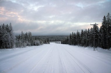 Finlandiya 'daki Oulanka Ulusal Parkı' nın donmuş manzarası