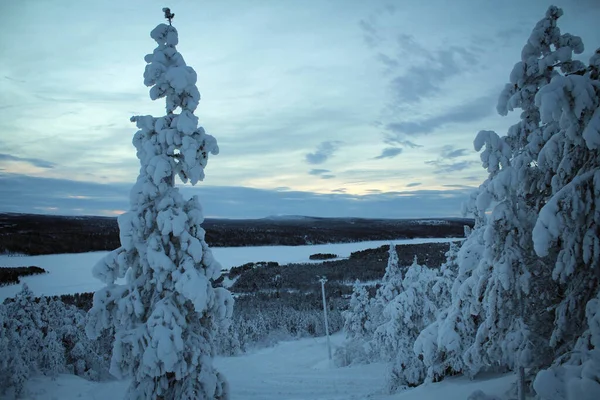 Natuurpark Pallas Yllastunturin Winter Uitzicht Finland — Stockfoto