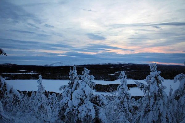 Natuurpark Pallas Yllastunturin Winter Uitzicht Finland — Stockfoto