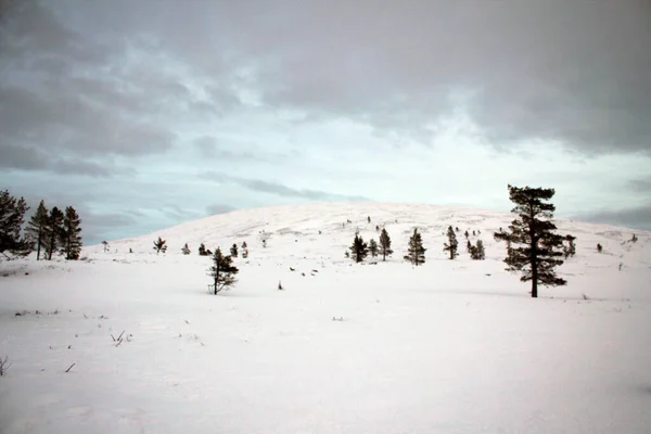 Pallas Yullastunturi park manzarası gün batımına kadar Finlandiya